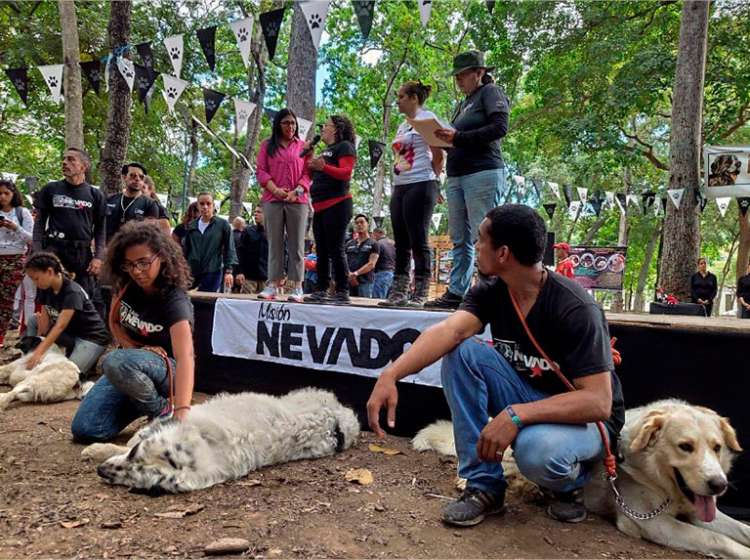 Twitter  MisionNevado