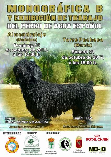 ASOCIACIÓN ESPAÑOLA DEL PERRO DE AGUA ESPAÑOL - Perro de Agua Español. Belleza. MONOGRAFICA B Y EXHIBICIÓN DE TRABAJO DEL PERRO DE AGUA ESPAÑOL (Badajoz   España)