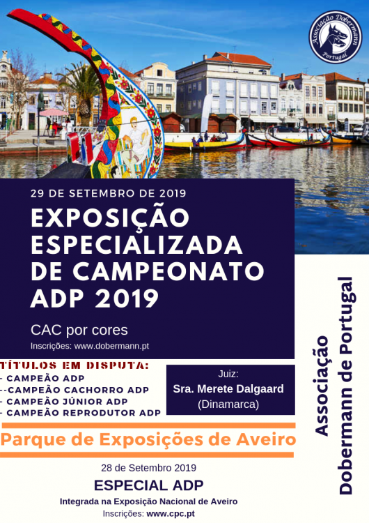 Belleza. Exposição Especializada de Campeonato Associação Dobermann de Portugal (Aveiro   Portugal)