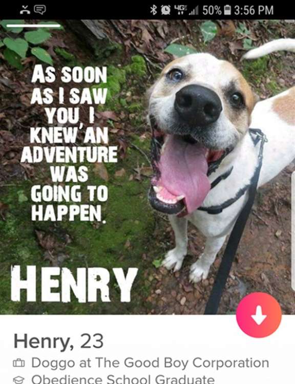 Henry busca familia adoptiva por Tinder