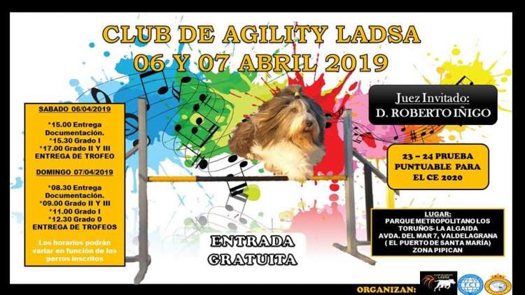 Prueba de Agility