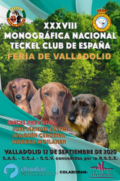 TECKEL CLUB DE ESPAÑA - Belleza. XXVI EXPOSICIÓN MONOGRÁFICA NACIONAL DEL TECKEL (Valladolid   España)