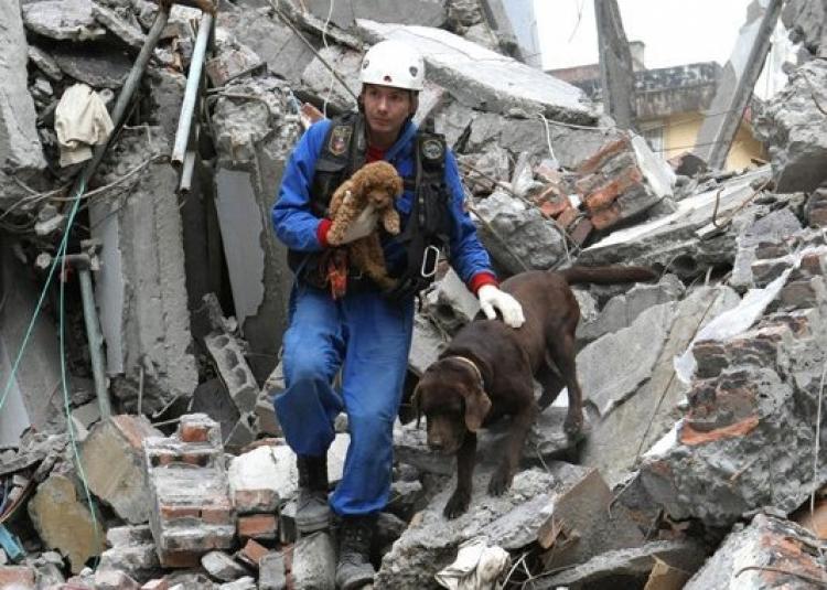 La Unidad Canina de Rescate del Ministerio de Situaciones de Emergencia de Rusia celebra su 20 aniversario.
