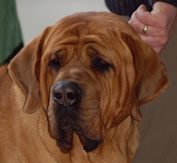 Tosa. Lilly M Tosa. Lilly M