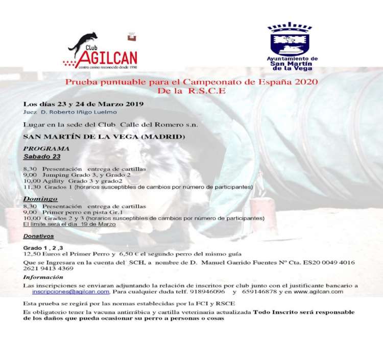 CLUB DE AGILITY AGILCAN - Agility. Prueba de Agility (Madrid   España)