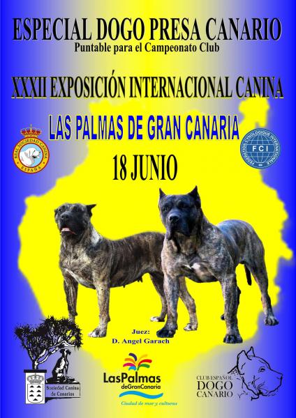 CLUB ESPAÑOL DEL DOGO CANARIO - Dogo Canario. Belleza. ESPECIAL DOGO PRESA CANARIO (Las Palmas   España)