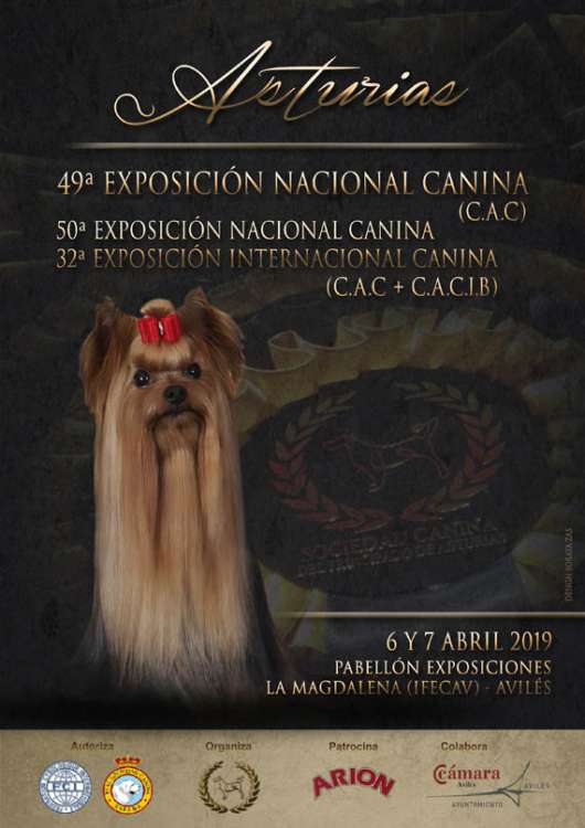 PETSmania - 49 Exposicion Nacional Canina de Asturias 2019