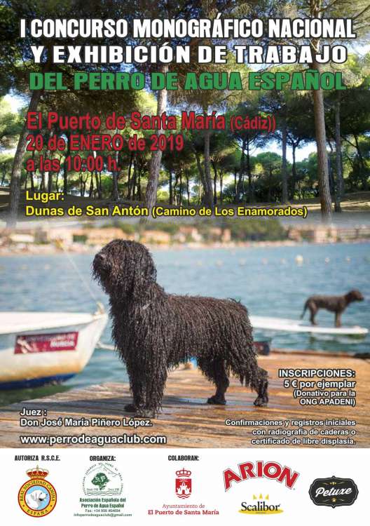 ASOCIACIÓN ESPAÑOLA DEL PERRO DE AGUA ESPAÑOL - Belleza. MONOGRÁFICA B DEL PERRO DE AGUA ESPAÑOL (Cádiz   España)