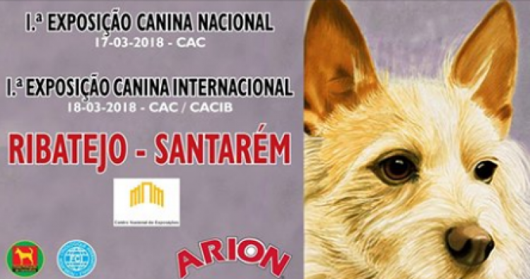 PETSmania - 1.ª Exposición Canina E. Cães de Caça de Salvaterra de Magos