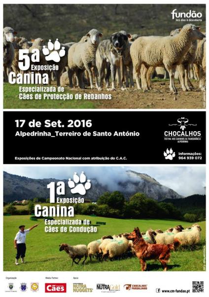 Trabajo. 1.ª E. C. E. Cães de Condução de Rebanhos  Chocalhos 2016   (Castelo Branco   Portugal)