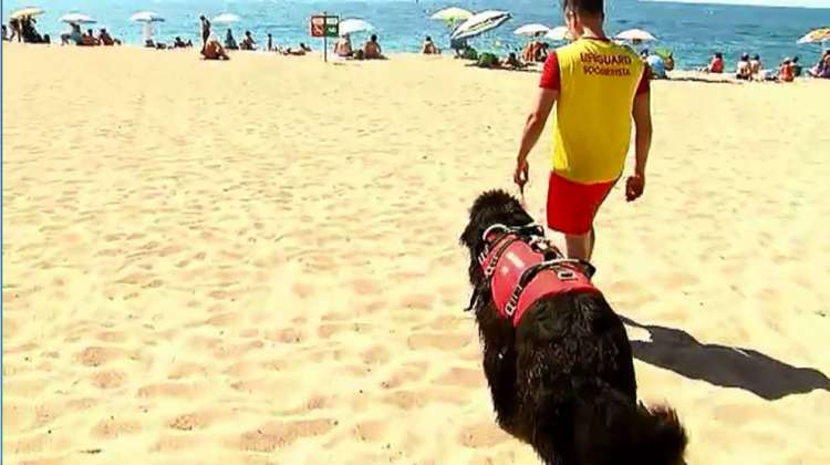 Equipo de salvamento acuático