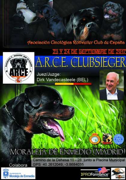 Asociación Cinológica Rottweiler Club de España - ARCE - Belleza. MONOGRÁFICA DEL ROTTWEILER (Madrid   España)