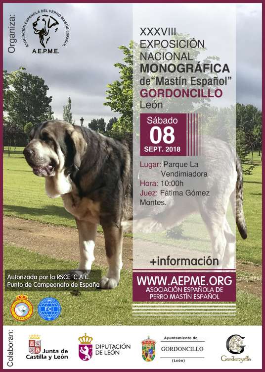 Asociación Española del Perro Mastín Español - Belleza. XXXVIII Exposición Monográfica Nacional del Mastín Español (León   España)