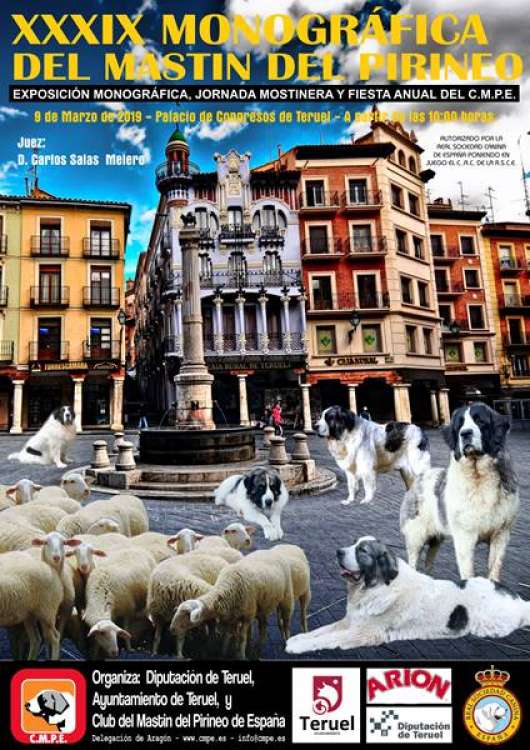 CLUB DEL MASTÍN DEL PIRINEO DE ESPAÑA - Belleza. XXXIX Monográfica del  Club del Mastín del Pirineo de España (Teruel   España)
