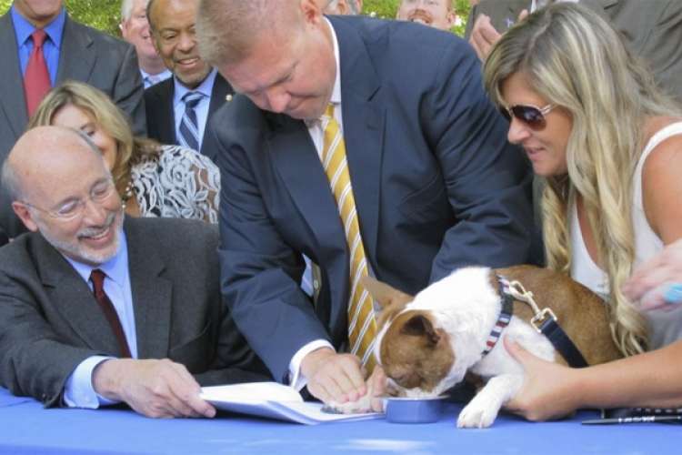 Gobernador de Pensilvania y perro firmando Ley contra el maltrato animal (AP)