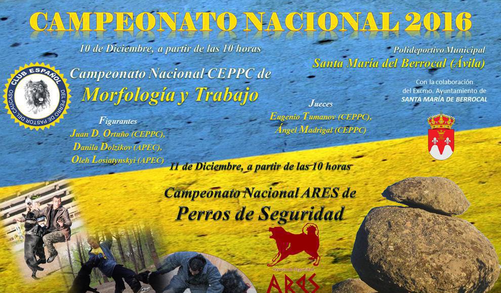 Belleza. Campeonato Nacional 2016 del Perro de Pastor del Cáucaso y de Perros de Seguridad ARES (Ávila   España)