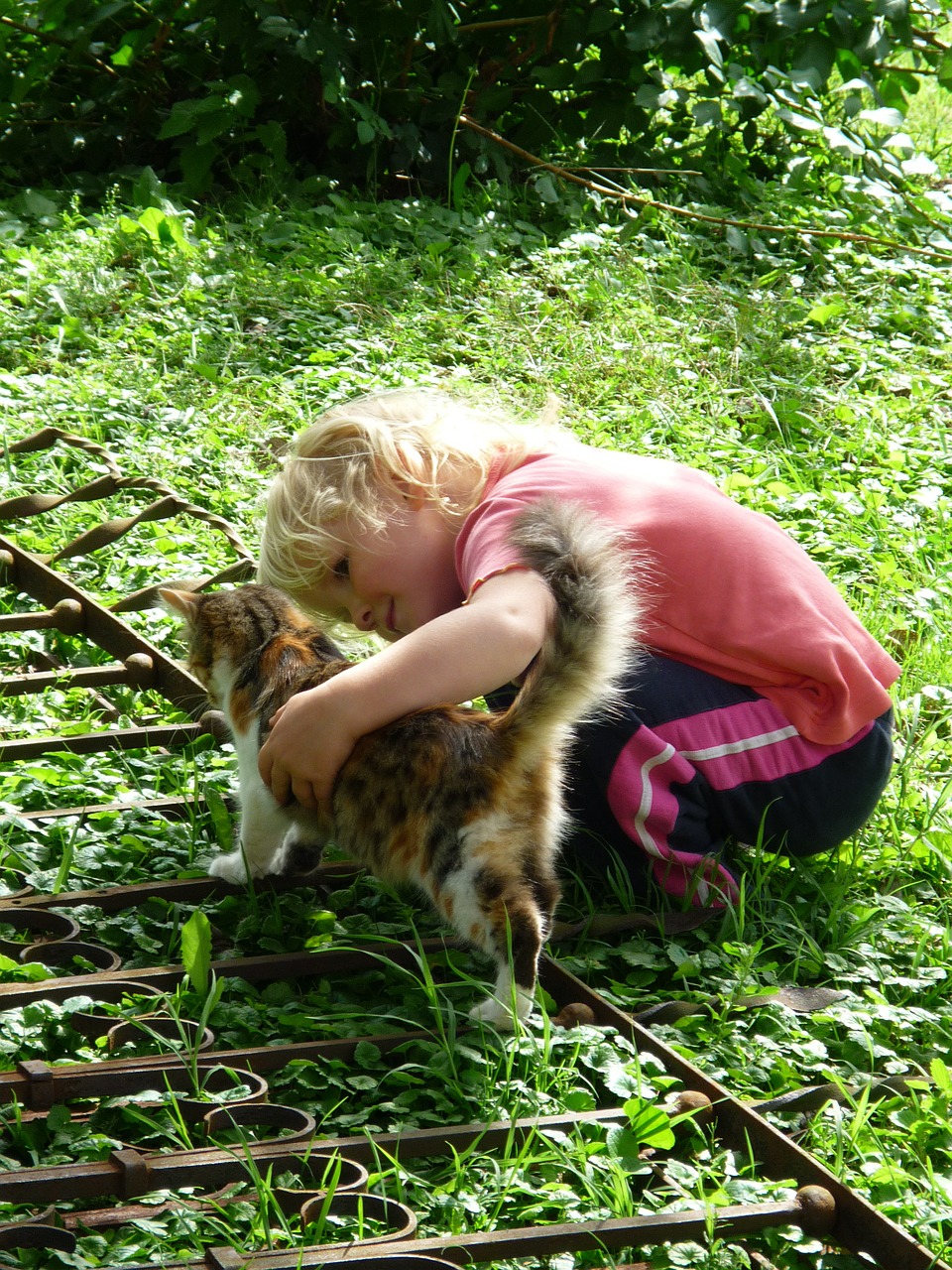 Niña con gato Niña con gato