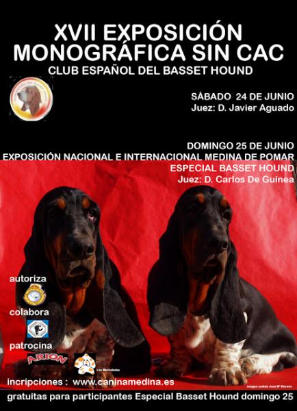 Belleza. XVII EXPOSICIÓN MONOGRÁFICA SIN CAC DEL CLUB ESPAÑOL DEL BASSET HOUND (Burgos España) Belleza. XVII EXPOSICIÓN MONOGRÁFICA SIN CAC DEL CLUB ESPAÑOL DEL BASSET HOUND (Burgos España)