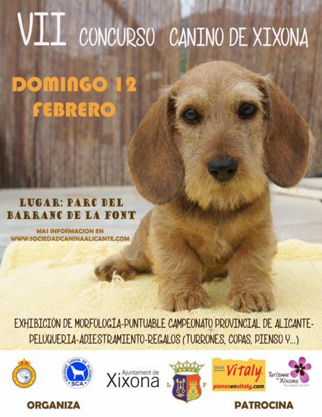 Belleza. CONCURSO PROVINCIAL XIXONA (Alacant España) Belleza. CONCURSO PROVINCIAL XIXONA (Alacant España)