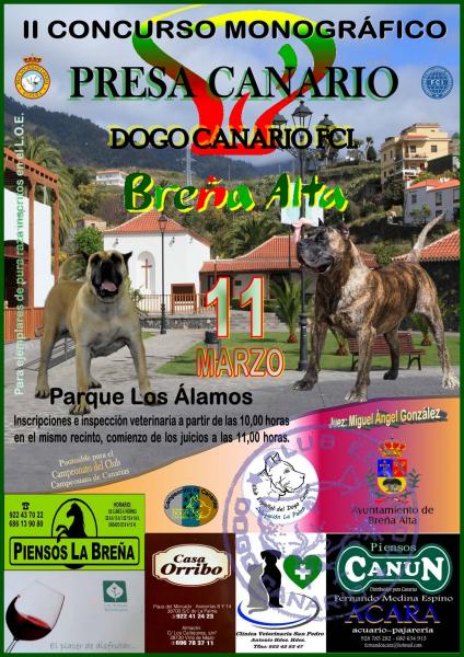 CLUB ESPAÑOL DEL DOGO CANARIO - Belleza. II CONCURSO MONOGRÁFICO del DOGO CANARIO (Santa Cruz de Tenerife   España)