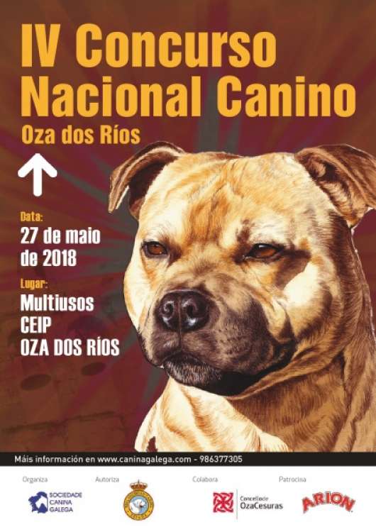 Sociedad Canina Gallega - Belleza. IV CONCURSO NACIONAL CANINO (A Coruña   España)