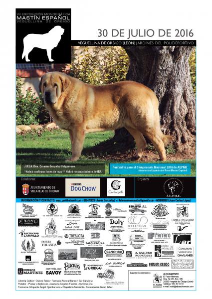 Asociación Española del Perro Mastín Español - Mastín Español. Belleza. VII EXPOSICIÓN MONOGRÁFICA del MASTÍN ESPAÑOL (León   España)