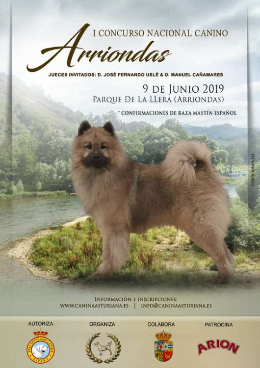 Sociedad Canina de Asturias - Belleza. I Concurso Nacional Canino de Arriondas 2019 (Asturias   España)