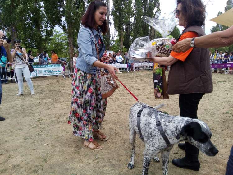 II Desfile solidario Huellas. Premio No me mires.