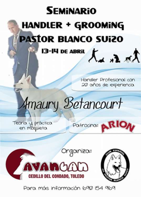 PETSmania - Pastor Blanco Suizo. SEMINARIO HANDLER   GROOMING