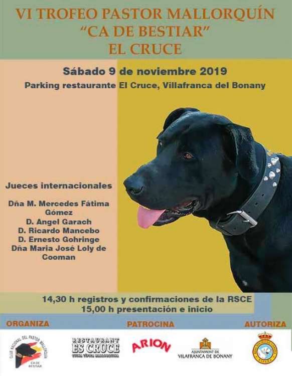 Ca de Bestiar. Belleza. VI TROFEO PASTOR MALLORQUÍN (Illes Balears   España)