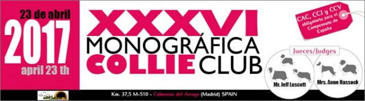 Bearded Collie. Bearded Collie.