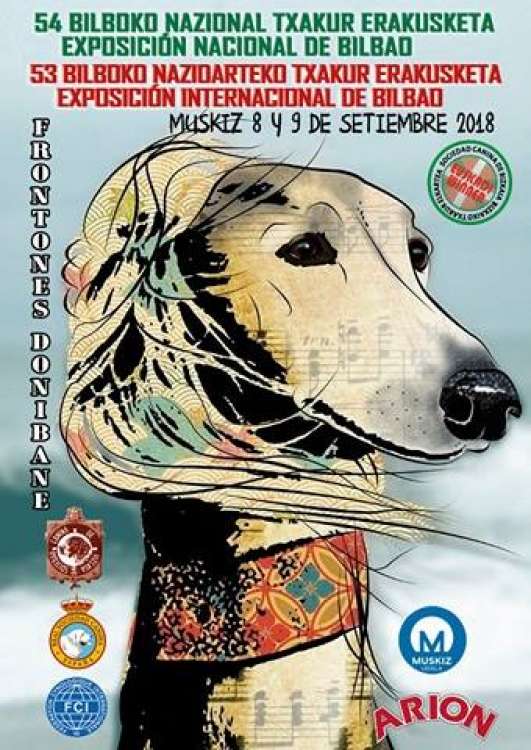 Belleza. 53 Exposición Internacional de Bilbao   53 Bilboko Nazioarteko Txakur Erakusketa (Vizcaya   España)