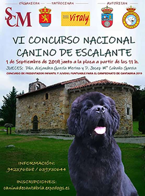 Belleza. VI CONCURSO NACIONAL CANINO DE ESCALANTE (Cantabria   España)