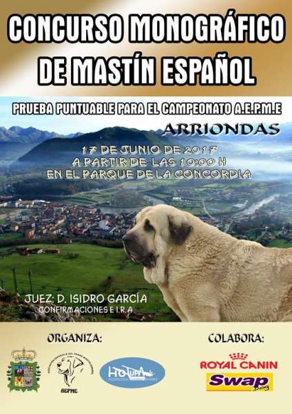 Asociación Española del Perro Mastín Español - Mastín Español. Belleza. CONCURSO MONOGRÁFICO DE MASTÍN ESPAÑOL (Asturias   España)