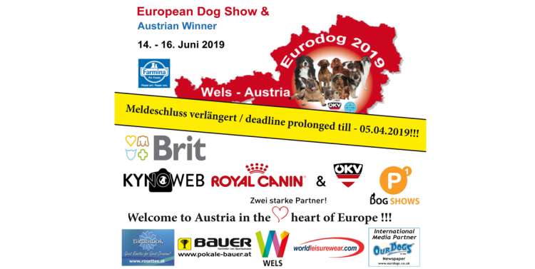 OKV - EUROPEAN DOG SHOW - Belleza. EUROPEAN DOG SHOW   AUSTRIAN WINNER (Oberösterreich   Austria)
