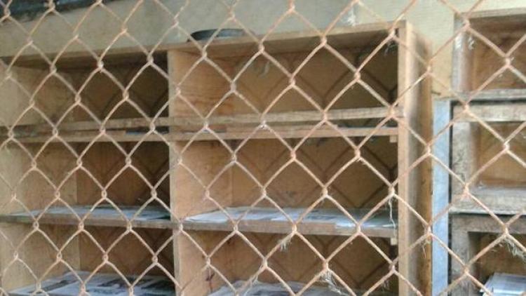 Instalaciones de la perrera La Bolgachina. Foto ANADEL Instalaciones de la perrera La Bolgachina. Foto ANADEL