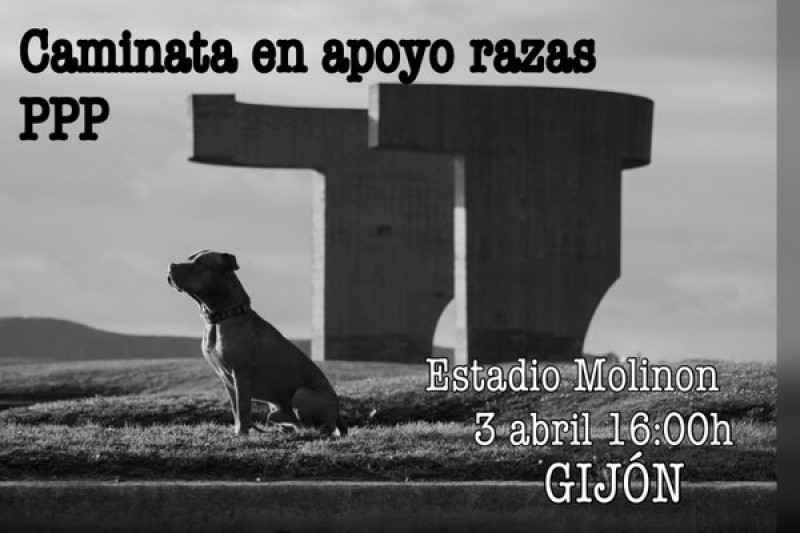 PETSmania - Vecinos de Gijón se reúnen para pedir la abolición de la Ley de perros potencialmente peligrosos.
