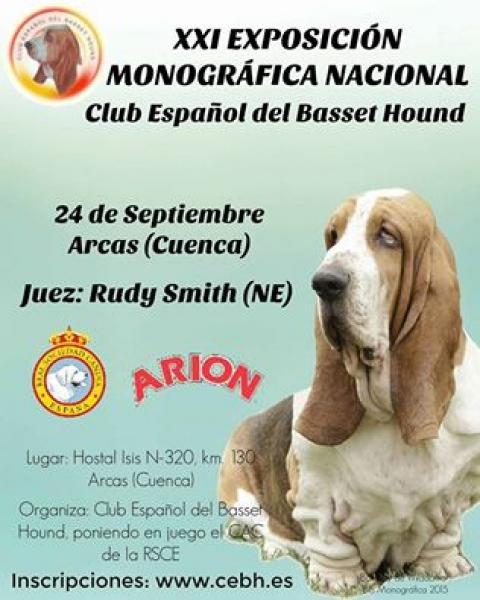 PETSmania - Belleza. XXI EXPOSCIÓN MONOGRÁFICA NACIONAL del BASSET HOUND (Cuenca   España)