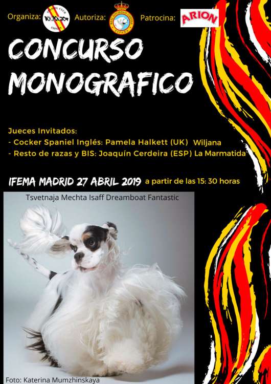 PETSmania - Cocker Spaniel Inglés. CONCURSO MONOGRÁFICO DEL SPANIEL CLUB DE ESPAÑA