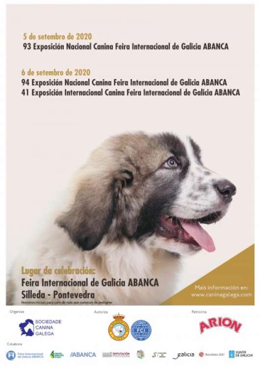 Sociedad Canina Gallega - Belleza.  93 Exposición Nacional Canina  (Pontevedra   España)