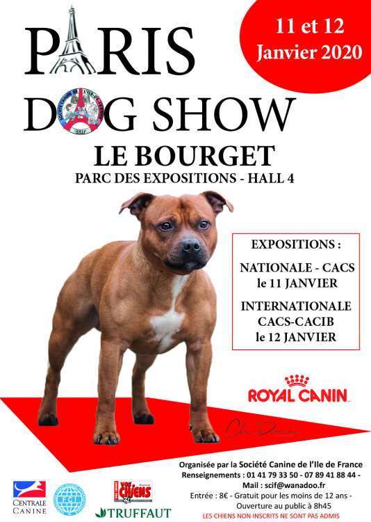Société Canine de l´Ile de France - Belleza. PARIS DOG SHOW   EXPOSITION CANINE INTERNATIONALE (CACS   CACIB) (Paris   Francia)