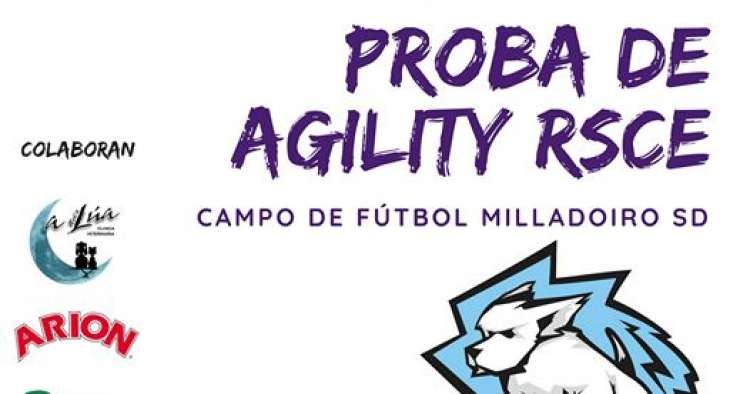 Prueba de Agility