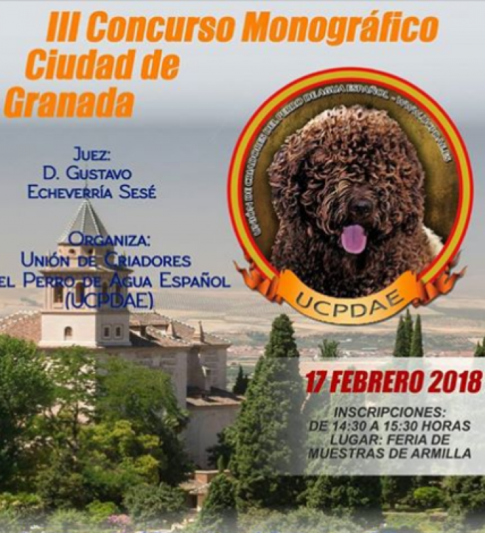 Concurso Monográfico Del Perro de Agua Español