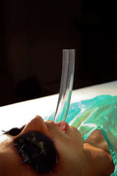 Un tubo para que pueda respirar y proceder a colocarle el hocico del perro Un tubo para que pueda respirar y proceder a colocarle el hocico del perro