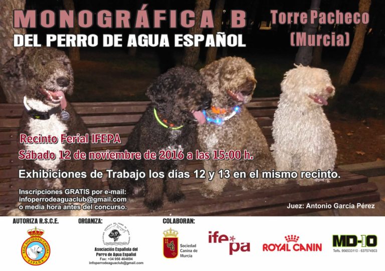 ASOCIACIÓN ESPAÑOLA DEL PERRO DE AGUA ESPAÑOL - Perro de Agua Español. Belleza. MONOGRÁFICA B y EXHIBICIÓN DE TRABAJO DEL PERRO DE AGUA ESPAÑOL (Murcia   España)