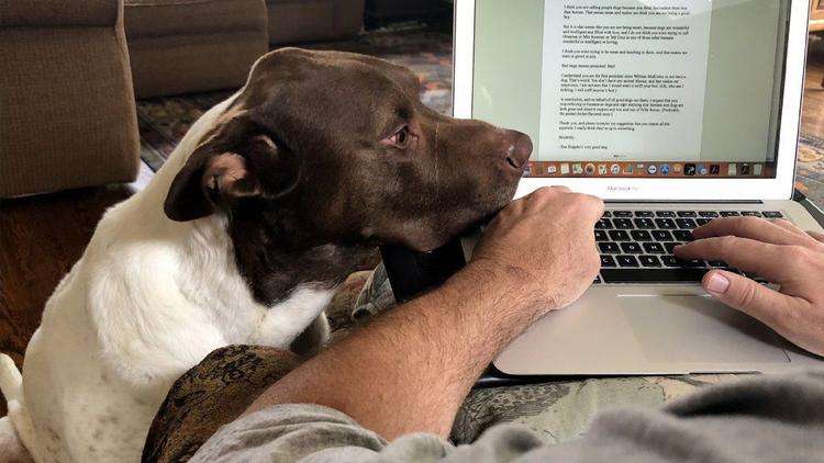 El perro de Rex Huppke  Zoe  no puede escribir  así que ella le dictó. (Rex Huppke   Chicago Tribune)