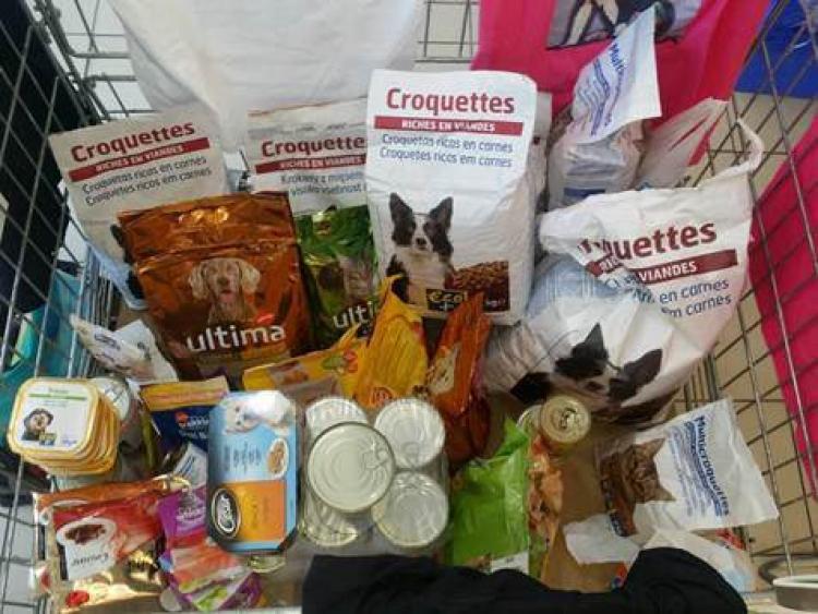 La campaña Misión Kilo llogra recaudar más de 600 kilos de comida para mascotas.