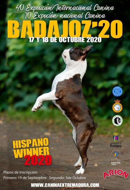 Sociedad Canina de Extremadura - Belleza. EXPOSICIÓN CANINA NACIONAL (CAC) (Badajoz   España)