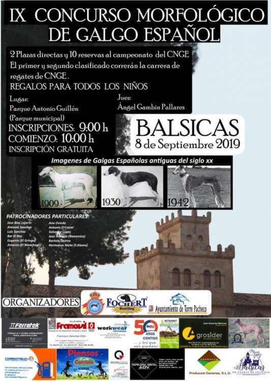 PETSmania - Galgo Español.