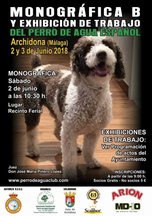 ASOCIACIÓN ESPAÑOLA DEL PERRO DE AGUA ESPAÑOL - Belleza. Monográfica B del perro de agua español Archidona 2018 (Málaga   España)